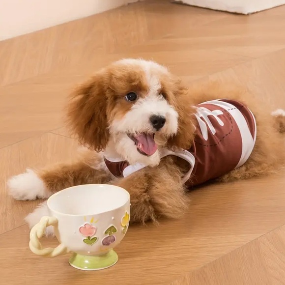 Other - Football Dog clothing- Brown and White choose one NWT